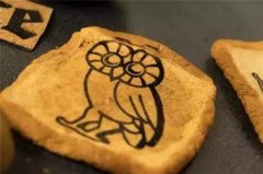 未来它或许能在许多领域大展身手