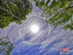 澳门葡京网址_澳门葡京官网_澳门葡京娱乐_日晕照片刷爆了当地人的朋友圈