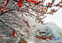 澳门葡京网址_澳门葡京官网_澳门葡京娱乐_河北张家口迎来降雪